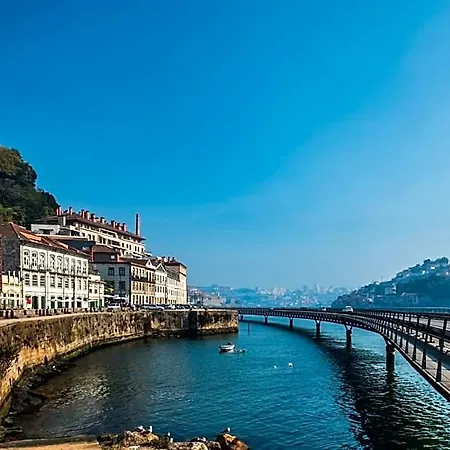 Gale Ribeira